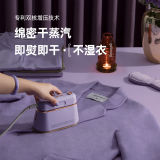 韩国 DAEWOO大宇手持挂烫机 家用小型蒸汽熨斗HI-