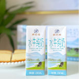 源百希3.8%高蛋白牛奶 水牛纯奶200g*20盒
