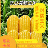 乡谷坊黄糯玉米2.5kg
